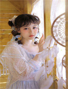 完美案件